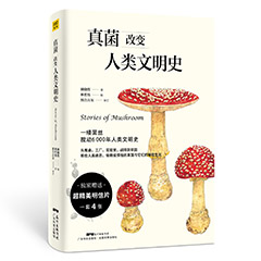Ŵ鿴
